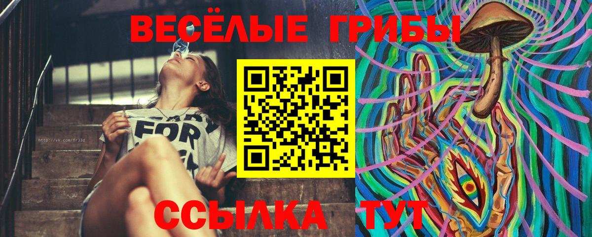 Можга  Галлюциногенные грибы Psilocybe  Вход с VPN 